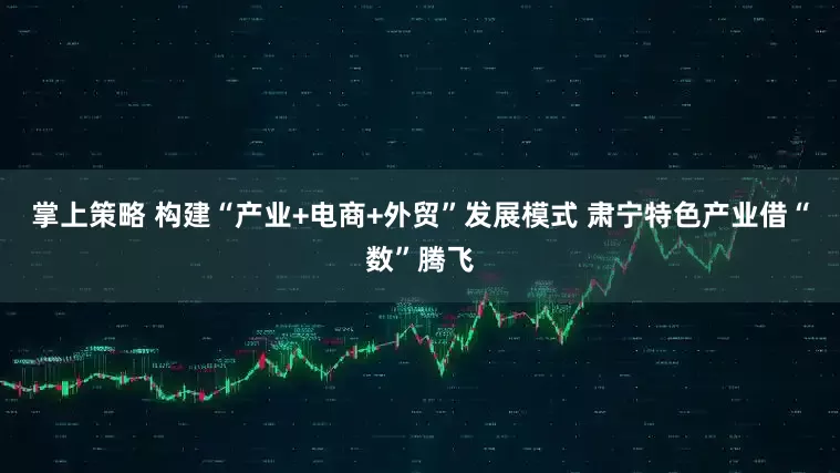 掌上策略 构建“产业+电商+外贸”发展模式 肃宁特色产业借“数”腾飞