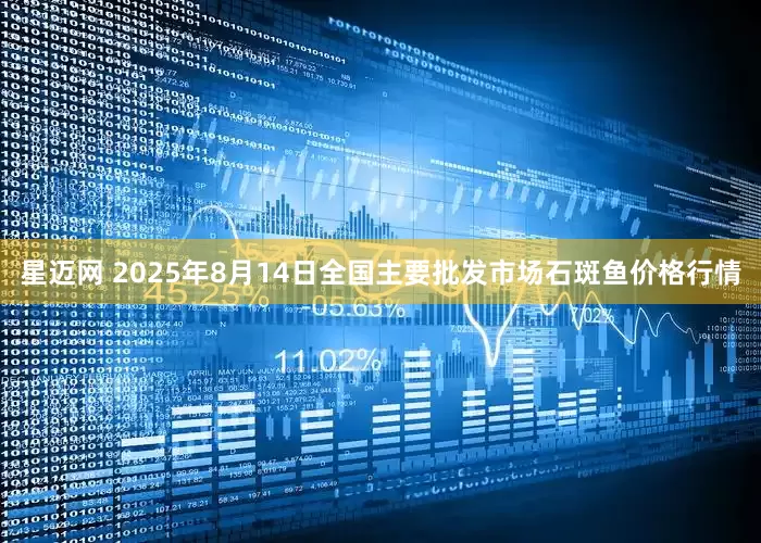 星迈网 2025年8月14日全国主要批发市场石斑鱼价格行情